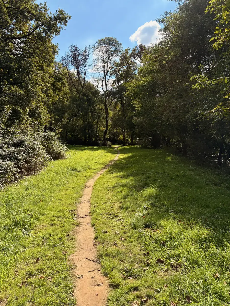 Chemin de randonnée pour réflexion